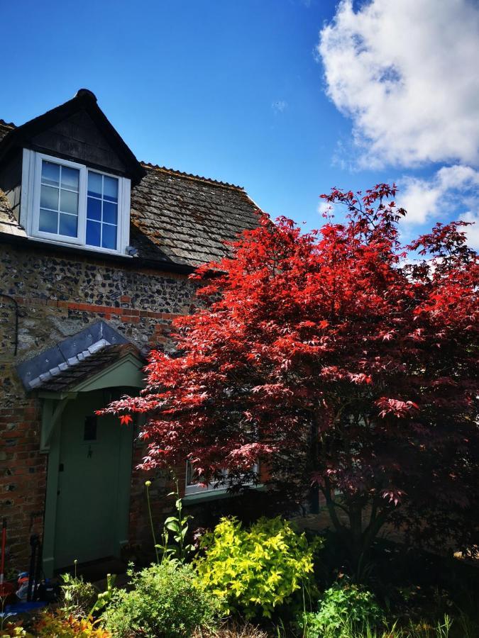 Historic, Traditional & Spacious Wiltshire Cottage 什鲁顿 外观 照片